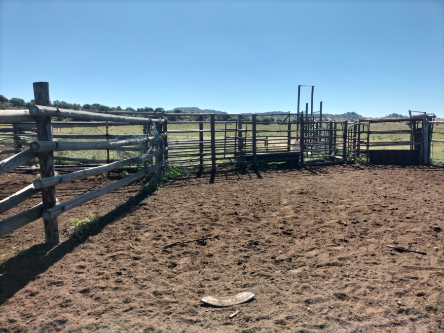 4 Bedroom Property for Sale in Bloemfontein Rural Free State